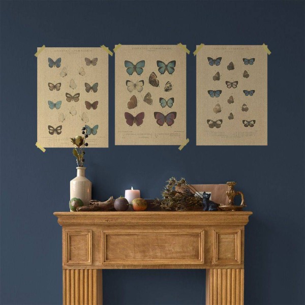 Flax Art Poster | Encyclopedia Butterfly B | FWP-AP-EN2B